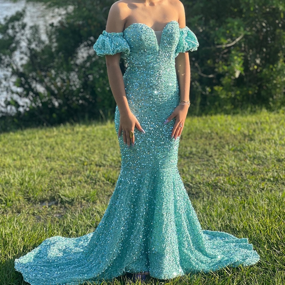 Prom/Formal dress - Picture 2 of 2